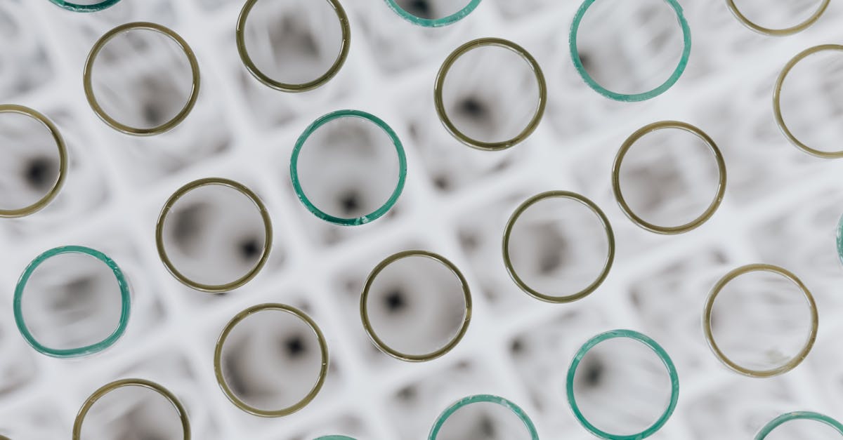 BTS Biotechnologies : Cursus, Spécialisations et Avenirs Prometteurs