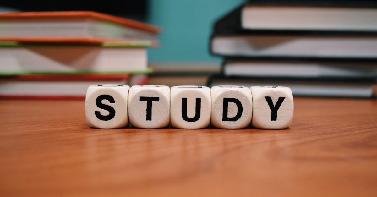 Bâtir votre Avenir : Parcours et Écoles pour Exceller en Management et Entrepreneuriat