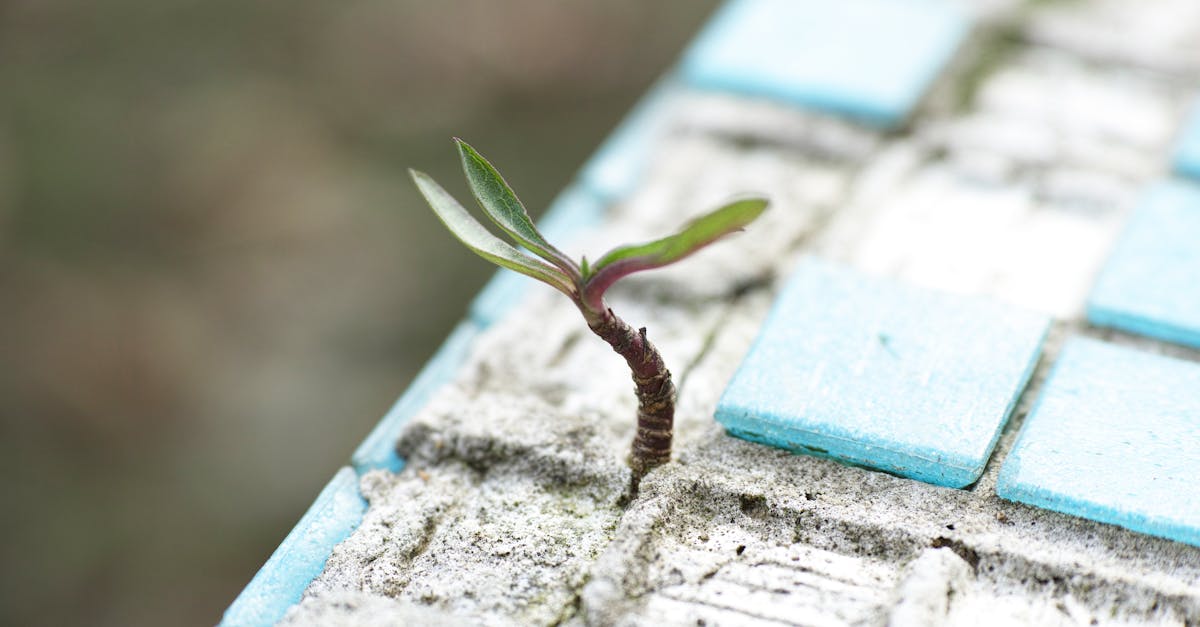 découvrez l'accompagnement personnalisé du life coaching pour atteindre vos objectifs, améliorer votre bien-être et transformer votre vie. explorez des techniques adaptées à vos besoins pour libérer votre potentiel et créer la vie dont vous rêvez.