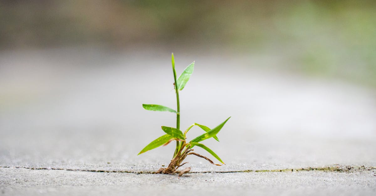 découvrez comment surmonter les défis du coaching de vie urbain avec des stratégies efficaces pour améliorer votre bien-être et atteindre vos objectifs dans un environnement dynamique.