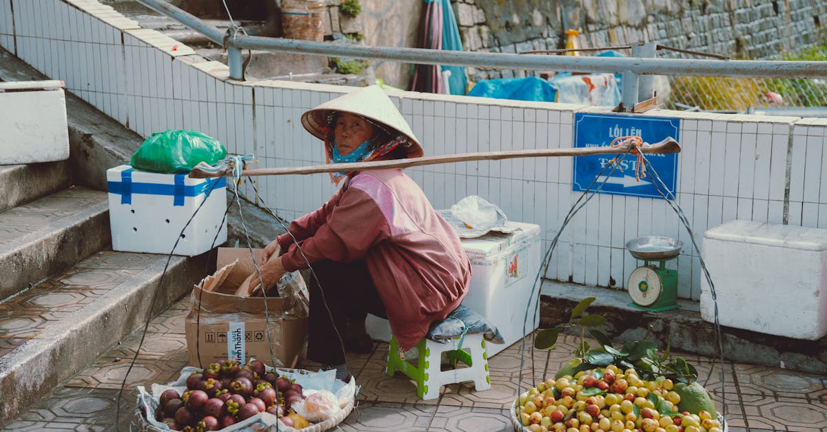 découvrez comment les entrepreneurs agricoles transforment le secteur agroalimentaire grâce à l'innovation, la durabilité et des pratiques agricoles responsables. explorez des idées inspirantes et des stratégies clés pour réussir dans le monde de l'agriculture moderne.