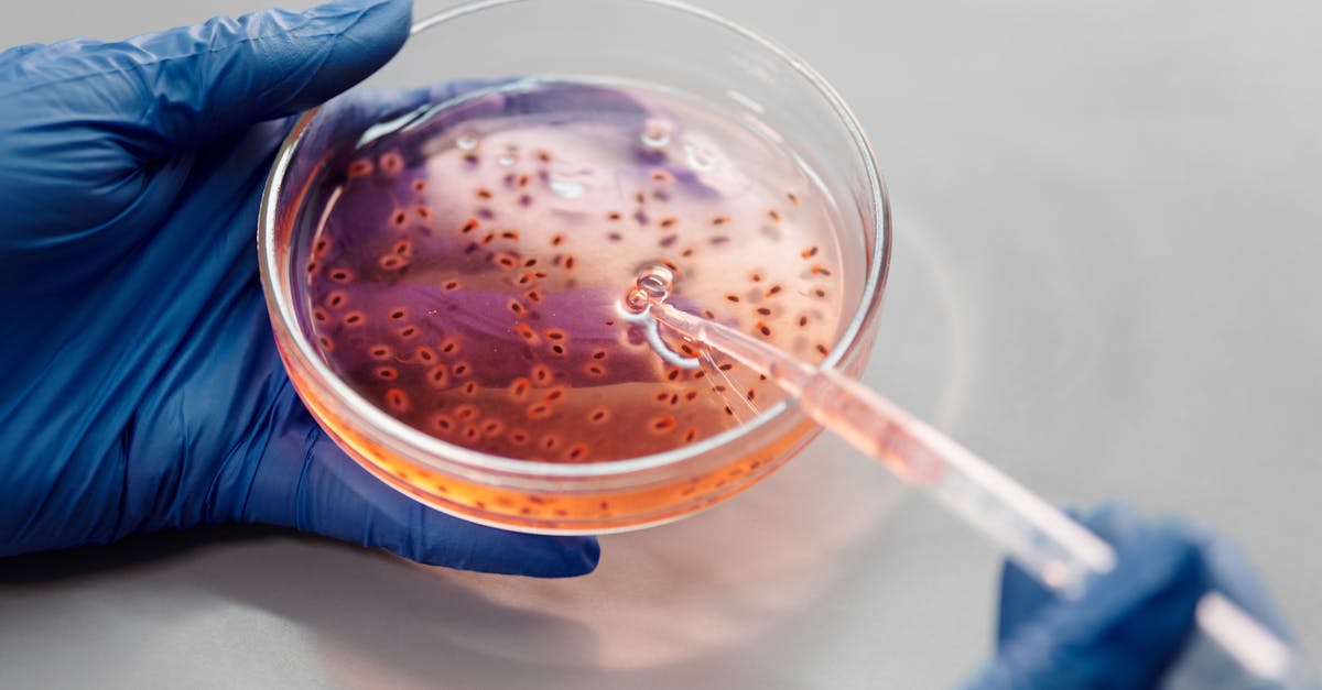 découvrez le monde fascinant de la biotechnologie, une discipline innovante qui allie biologie et technologie pour développer des solutions durables dans les domaines de la santé, de l'agriculture et de l'environnement. explorez les avancées récentes, des thérapies géniques aux biocarburants, et comment elles transforment notre avenir.
