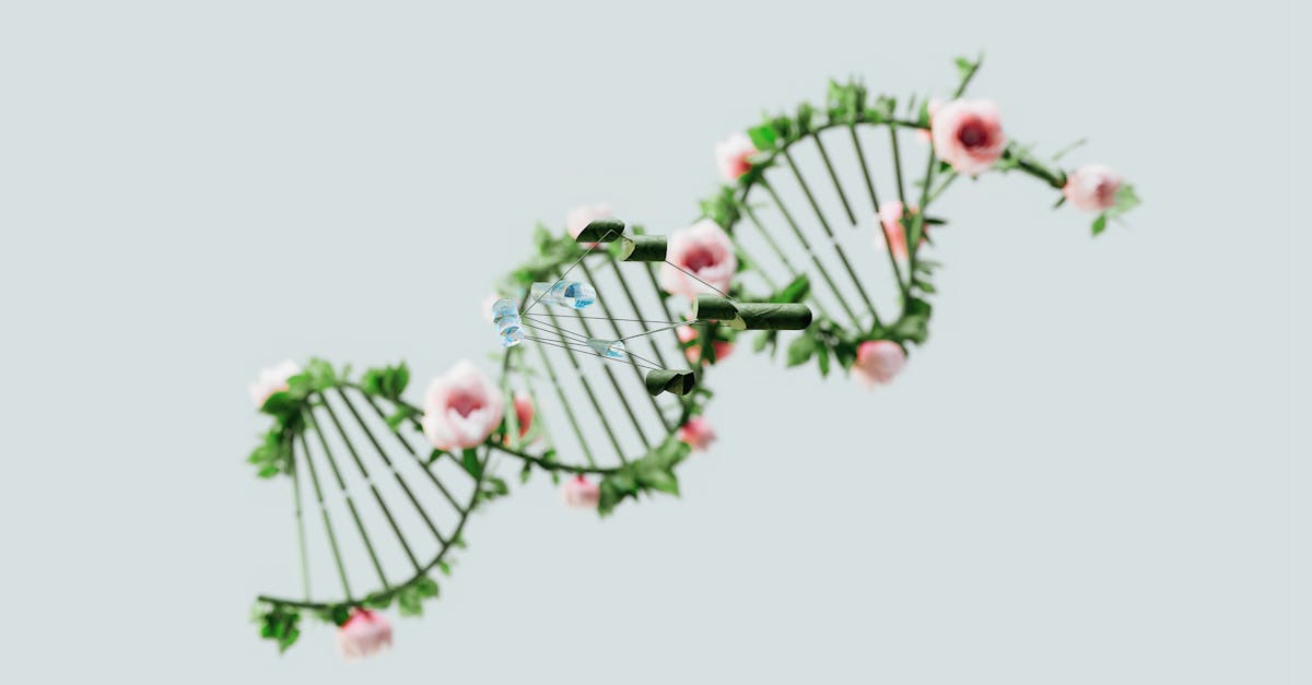 découvrez comment la biotechnologie transforme notre avenir grâce à des avancées scientifiques novatrices. explorez ses applications dans la santé, l'agriculture et l'environnement, et apprenez comment cette discipline révolutionne notre approche des défis mondiaux.