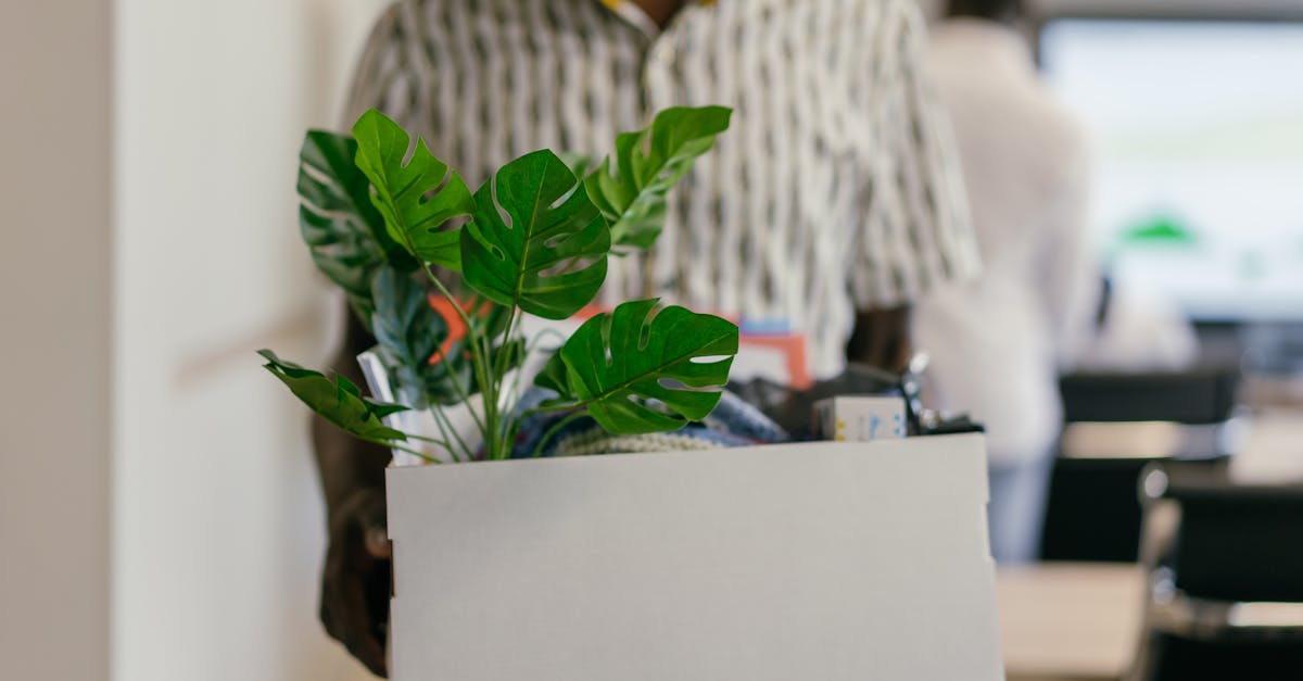 découvrez des stratégies efficaces pour réussir votre transition de carrière. transformez vos compétences et explorez de nouvelles opportunités professionnelles tout en bénéficiant de conseils pratiques et d'accompagnement pour un avenir prometteur.