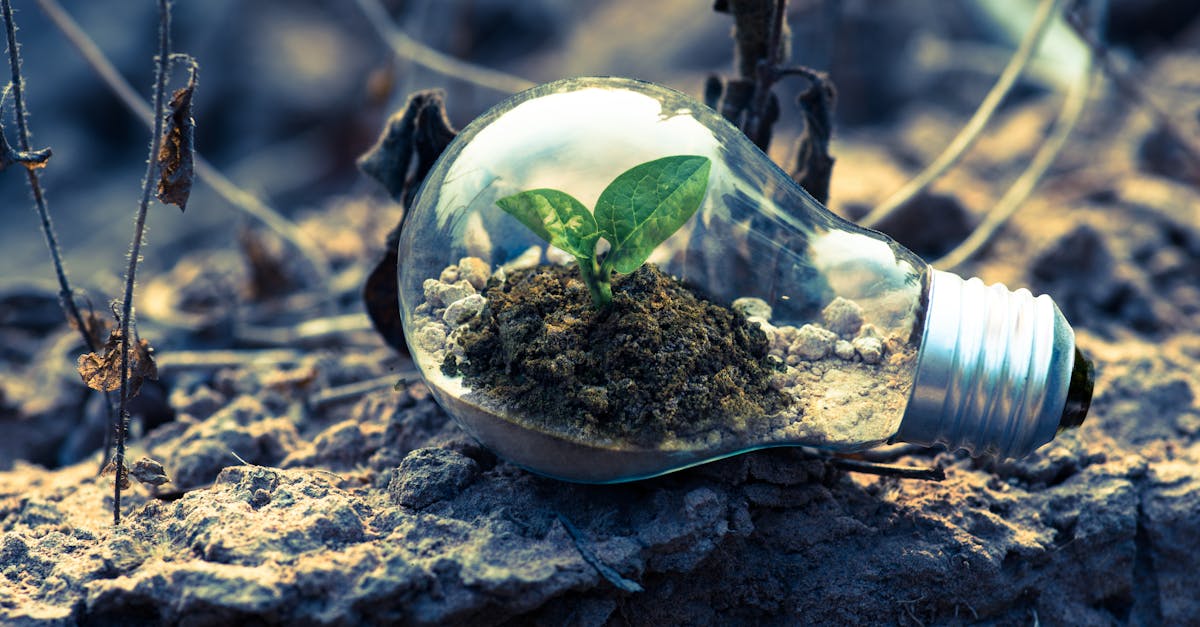 découvrez les stratégies et conseils essentiels pour favoriser la croissance personnelle et professionnelle. apprenez à développer vos compétences, à surmonter les obstacles et à atteindre vos objectifs avec succès.