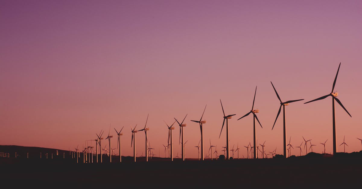 découvrez notre approche innovante de la durabilité, explorant des solutions écologiques pour un avenir meilleur. engagez-vous avec nous dans la préservation de notre planète grâce à des pratiques durables et responsables.