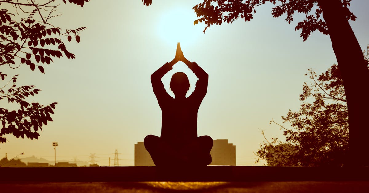 découvrez l'harmonie entre le corps et l'esprit grâce à notre guide complet sur le yoga et la méditation. apprenez des techniques simples pour réduire le stress, améliorer votre concentration et atteindre un bien-être durable. rejoignez notre communauté et transformez votre pratique aujourd'hui.