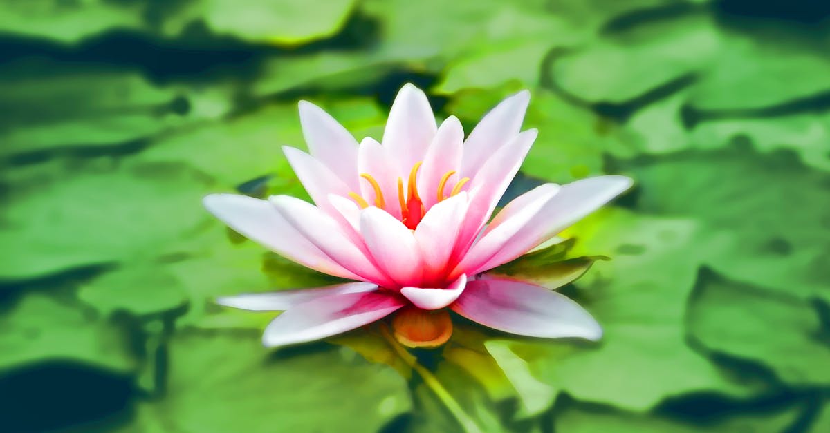 découvrez l'art de la méditation pour apaiser votre esprit et améliorer votre bien-être. explorez des techniques simples et efficaces pour réduire le stress, augmenter votre concentration et trouver la sérénité intérieure.