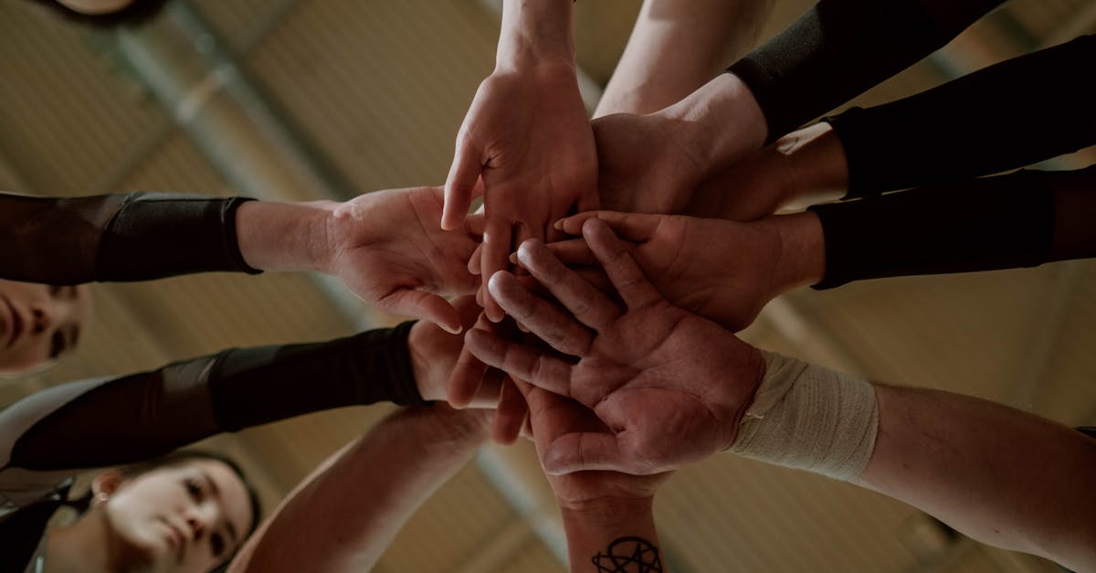 synergy : découvrez comment l'harmonisation des talents et des ressources peut booster votre entreprise et favoriser une collaboration réussie entre équipes.