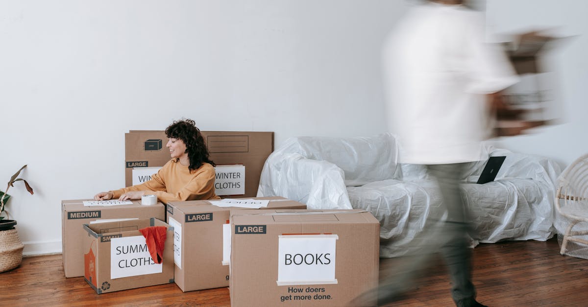 découvrez les gestionnaires de transition, des experts qui accompagnent les entreprises dans les phases de changement, assurant une transition fluide et réussie. profitez de leur expertise pour optimiser vos processus et atteindre vos objectifs stratégiques.
