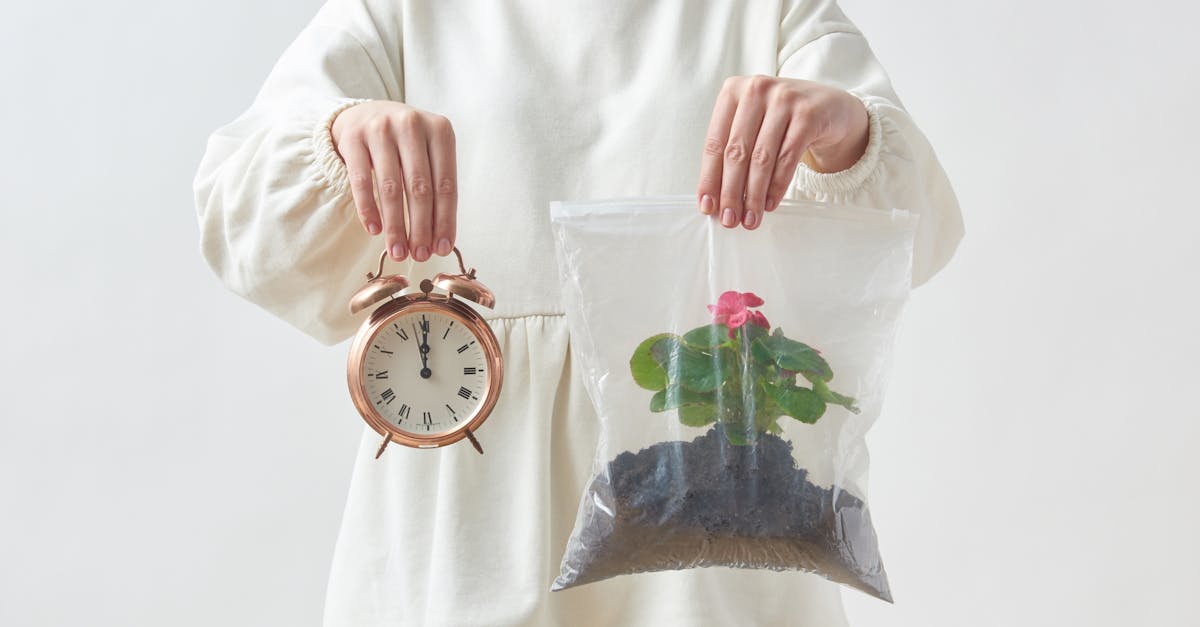 découvrez les experts en gestion de transition qui accompagnent les entreprises dans leurs processus de changement et d'évolution. nos transition managers mettent en œuvre des stratégies efficaces pour faciliter la transformation organisationnelle et maximiser la performance.