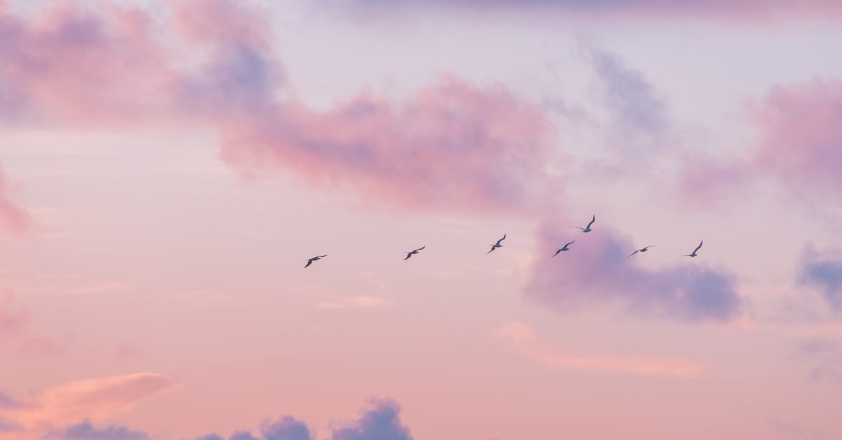 découvrez le rôle essentiel des transition managers dans la conduite du changement au sein des organisations. apprenez comment ces experts facilitent la transformation, garantissent une gestion efficace des projets et assurent une transition en douceur vers de nouveaux processus.
